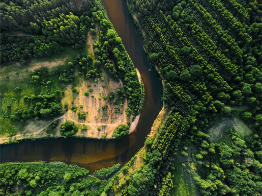 Sustainability and Transformation Plans: A Pathway to a Greener Future