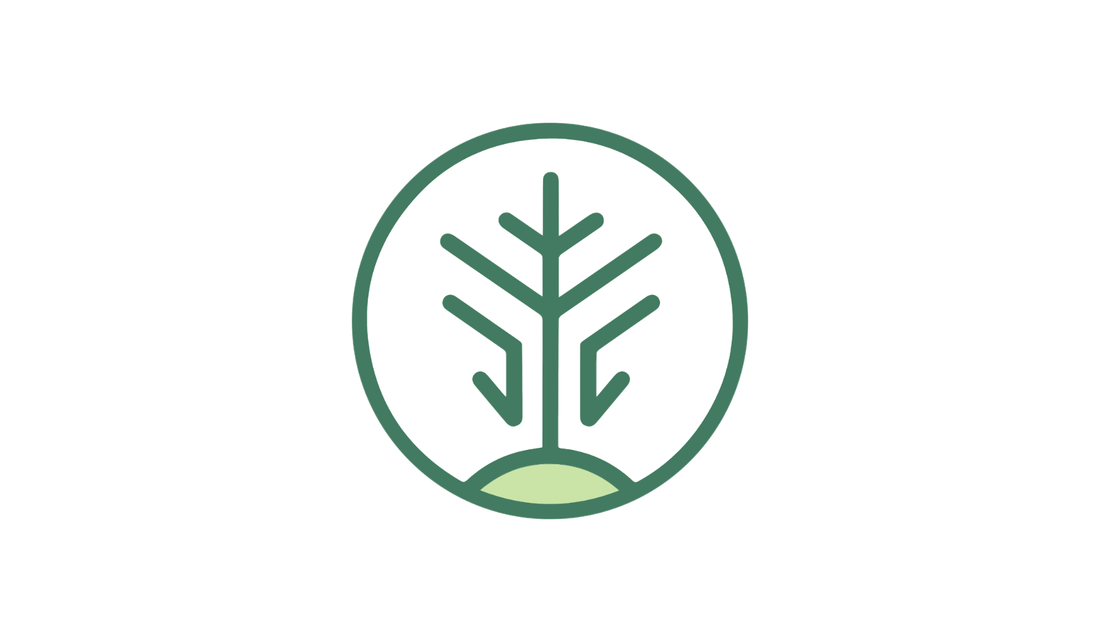 Living Carbon Qualitative Evaluation