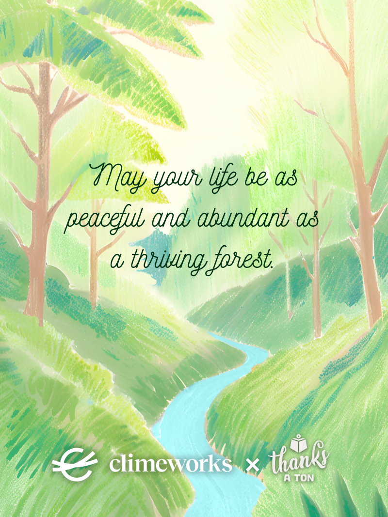 Thriving Forest