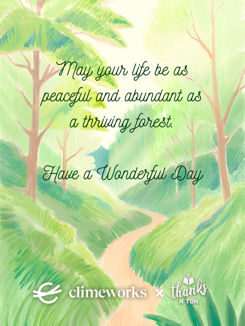 Have a Wonderful Day