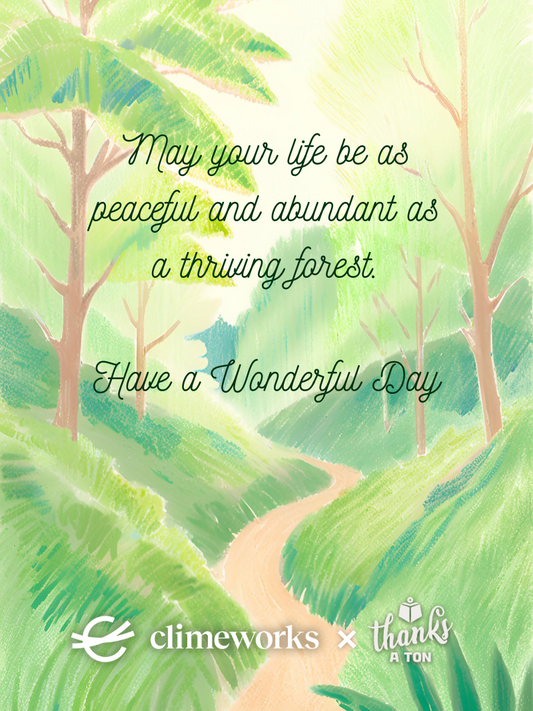 Have a Wonderful Day