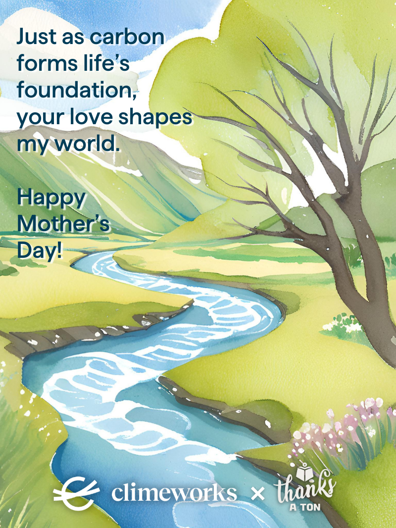 Life's Foundation