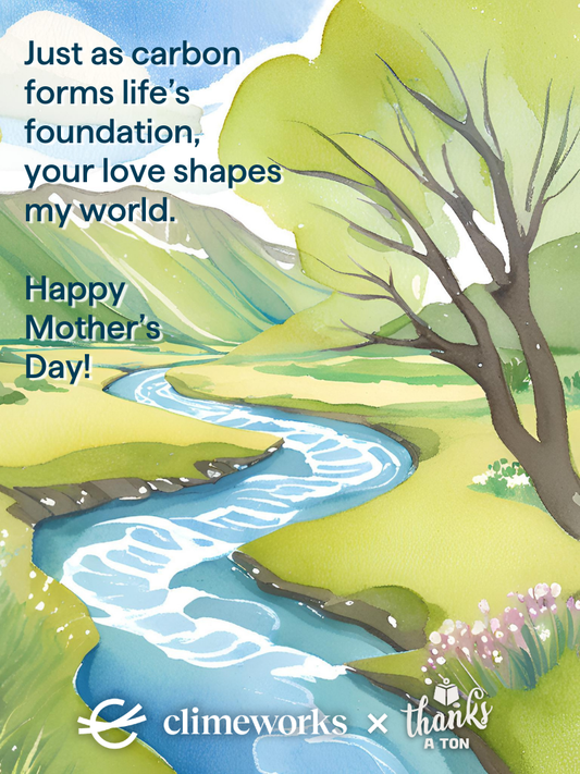 Life's Foundation