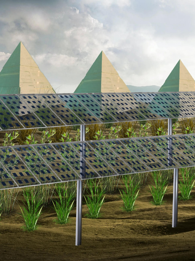 Agrivoltaic Farm