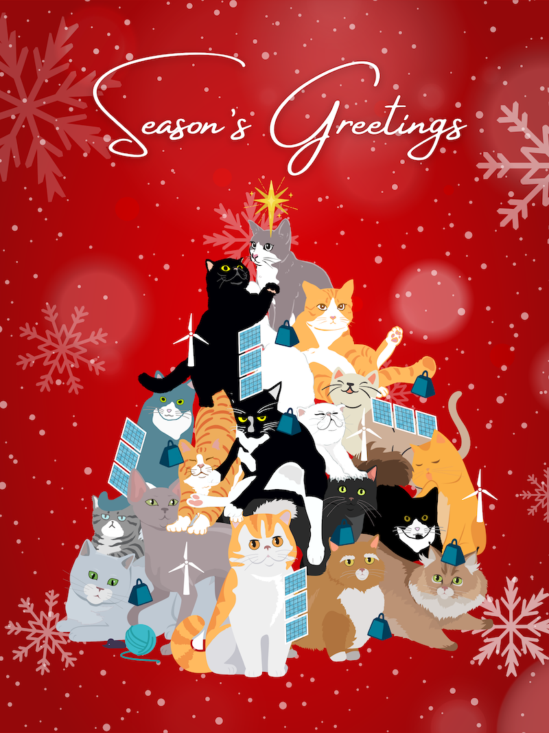 Christmas Cats
