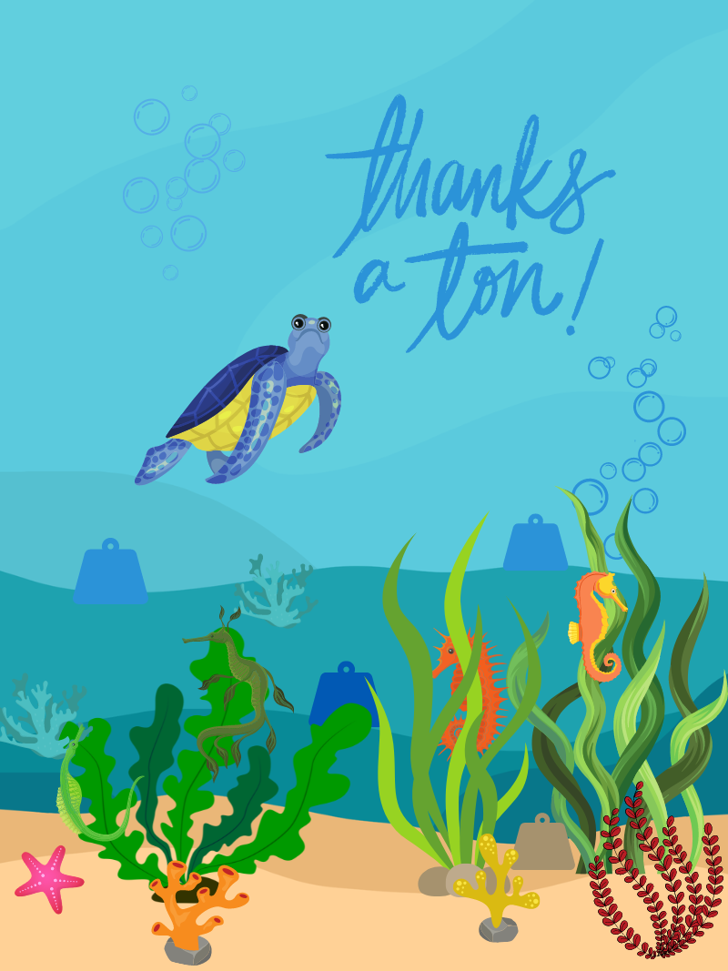 Thanks a Turtle