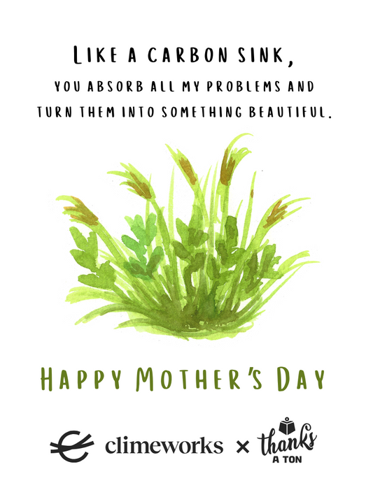Something Beautiful Mother's Day