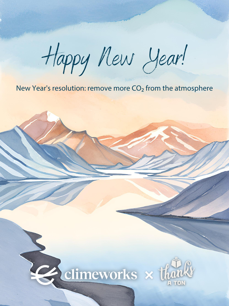 New Year's Resolution