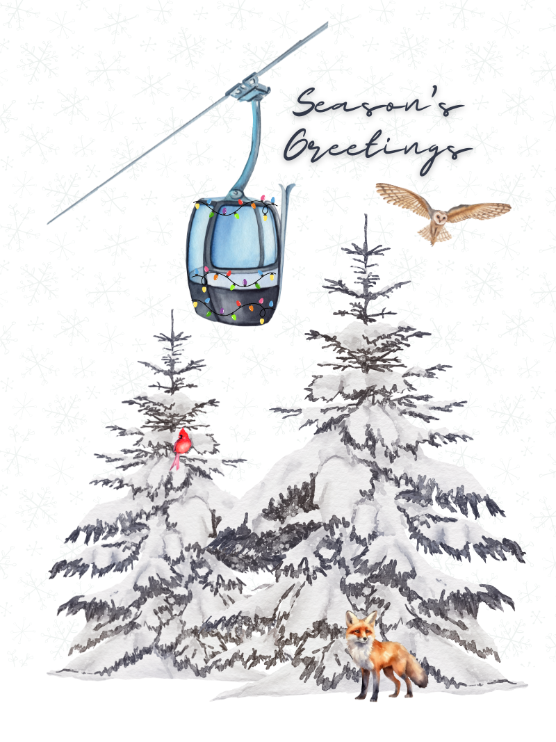 Christmas Gondola