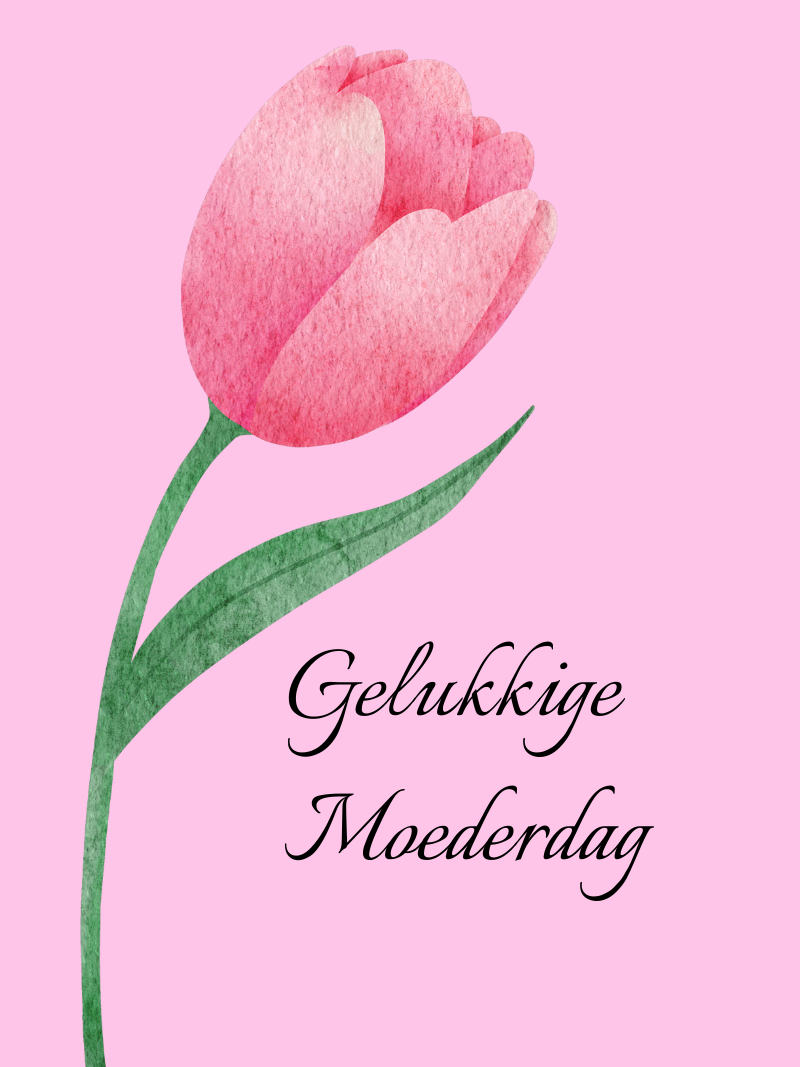 Mother's Day Portuguese Tulip