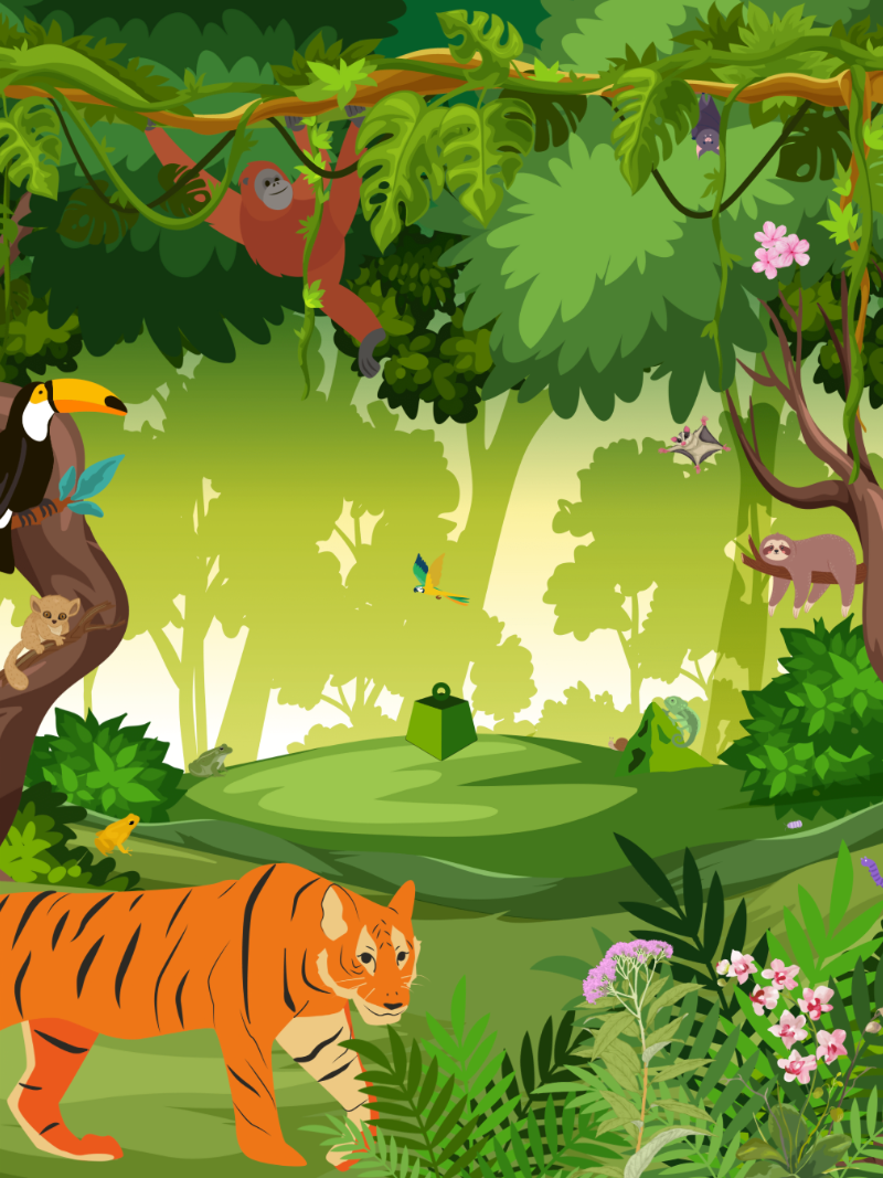 World Rainforest