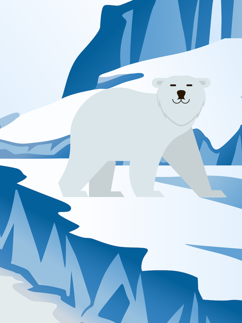 Polar Bear