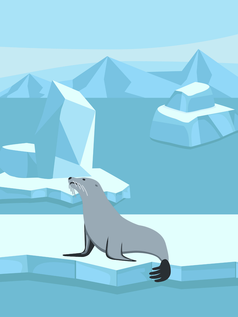 Seal