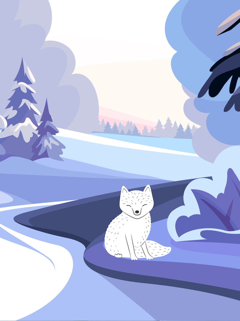 Arctic Fox