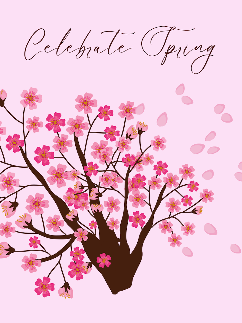 Cherry Blossoms 3