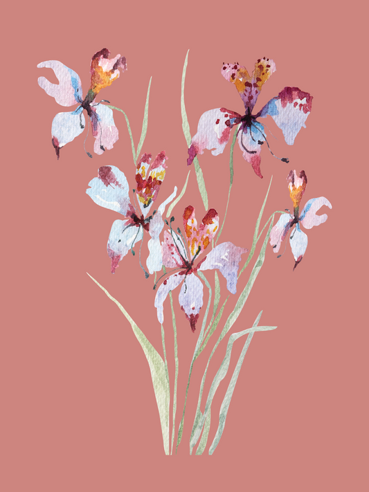 Iris Bouquet