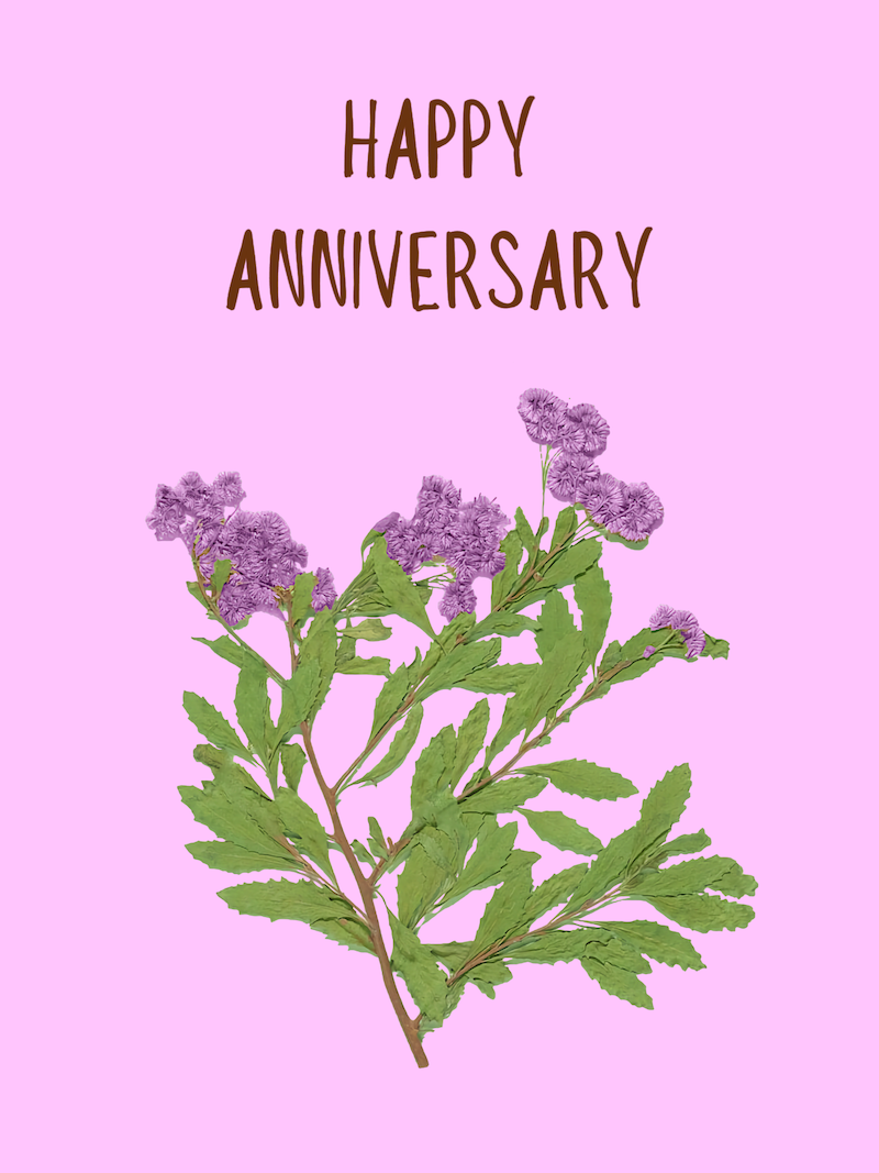 Happy Anniversary 2