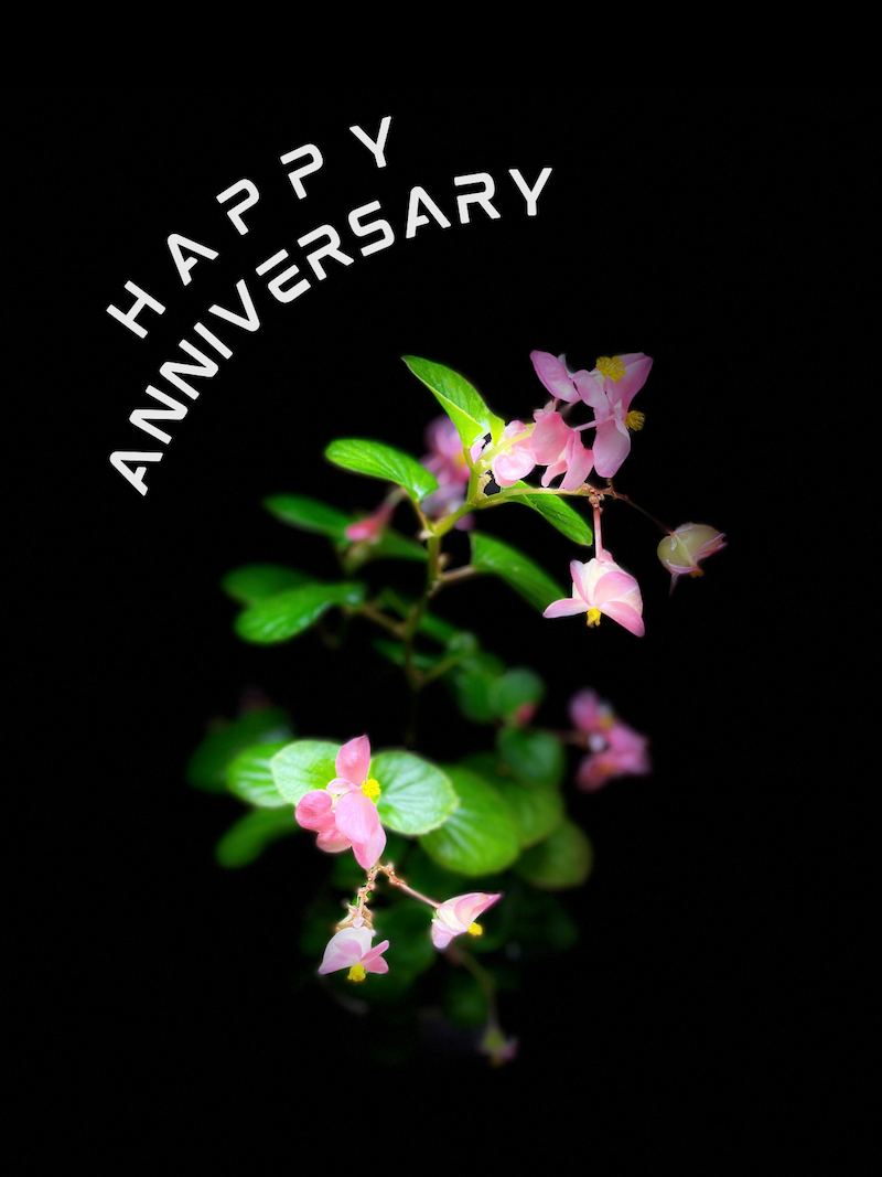 Happy Anniversary 3