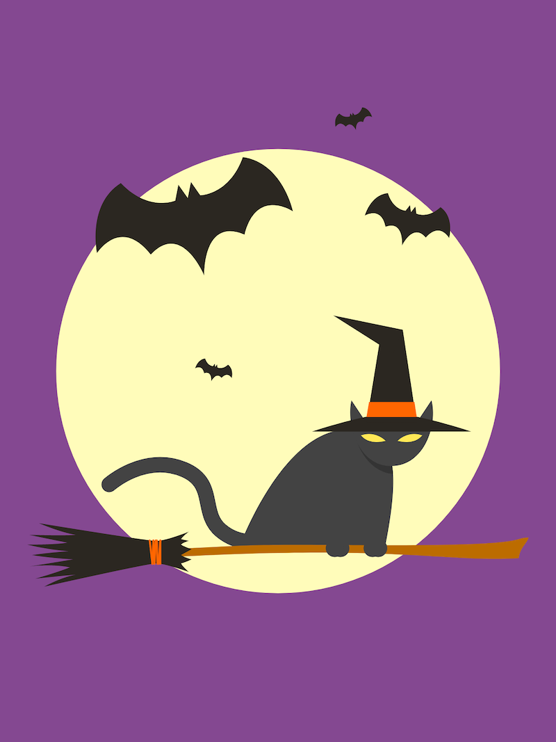 Witchy Cat Halloween