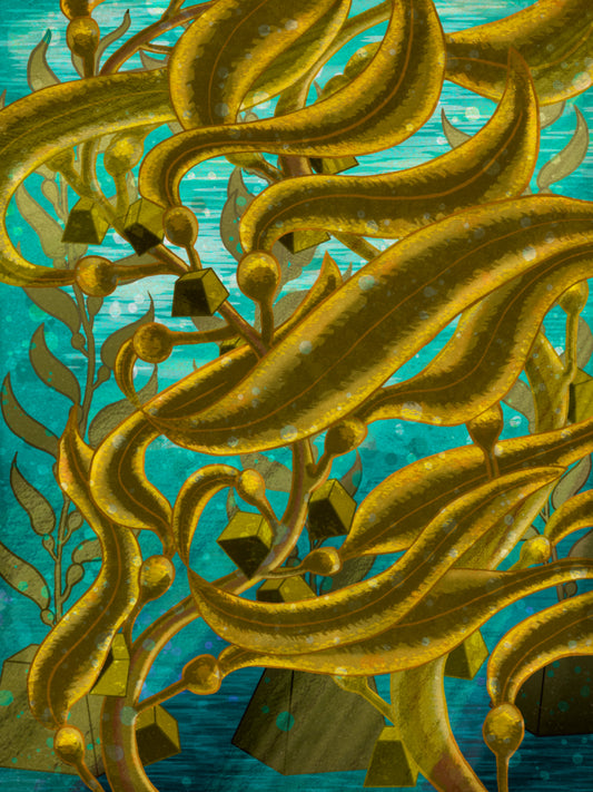 A Tale of Two Seaweeds