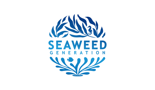 Seaweed Generation Qualitative Evaluation